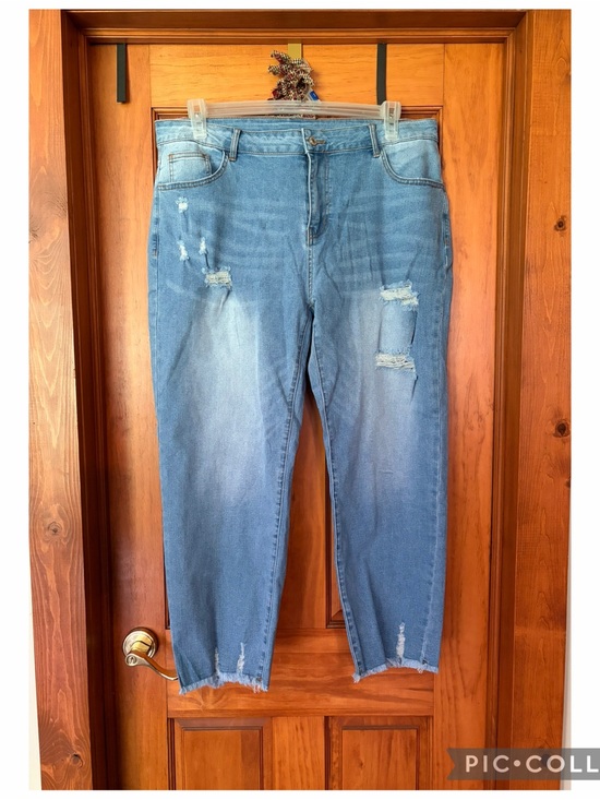 The Unbranded Brand Denim - Women’s plus size 18 Distressed Jeans
